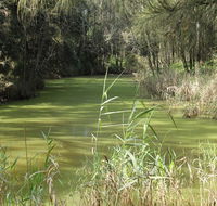 Second Ponds Creek walk - Northern Rivers Accommodation