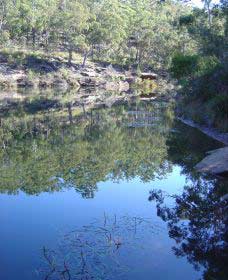 Freres Crossing Bushwalk - Northern Rivers Accommodation 2