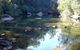Freres Crossing Bushwalk - thumb 1