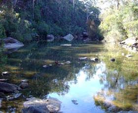 Freres Crossing Bushwalk - Northern Rivers Accommodation 1