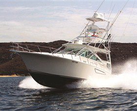 1300 Big Fish - Northern Rivers Accommodation 0