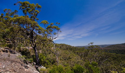 Marramarra National Park - Northern Rivers Accommodation 1