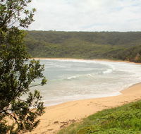 Maitland Bay track - Northern Rivers Accommodation