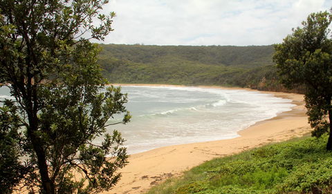 Maitland Bay Track - Northern Rivers Accommodation 0