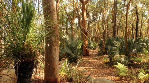 Bouddi National Park - Northern Rivers Accommodation 1