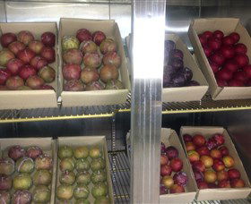 Canoelands Orchard - Northern Rivers Accommodation 1