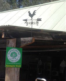 Canoelands Orchard - Northern Rivers Accommodation 3