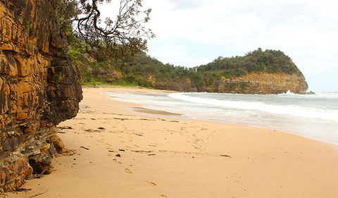 Bouddi Coastal Walk - Northern Rivers Accommodation 1