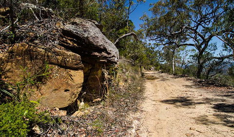 Canoelands Ridge Walking Track - Northern Rivers Accommodation 0