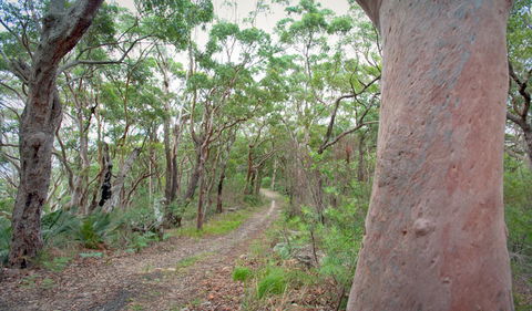 Strom Loop - Northern Rivers Accommodation 3
