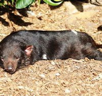 Symbio Wildlife Park - Northern Rivers Accommodation