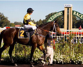 Hawkesbury Race Club - Northern Rivers Accommodation 2