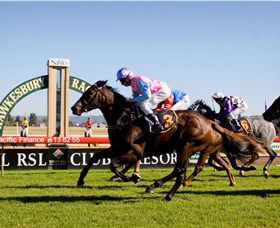 Hawkesbury Race Club - Northern Rivers Accommodation 1