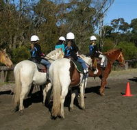 Darkes Forest Riding Ranch - Northern Rivers Accommodation