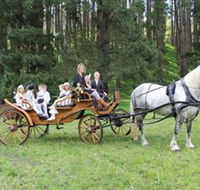 Classic Carriage Drives - Northern Rivers Accommodation