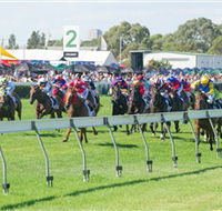 Morphettville Racecourse - Northern Rivers Accommodation