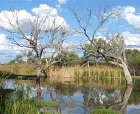 Lagoon Creek - Northern Rivers Accommodation 0