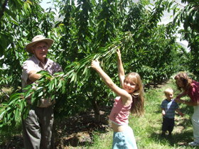 Forest Range ACT Northern Rivers Accommodation