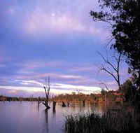 Loch Luna Game Reserve and Moorook Game Reserve - Northern Rivers Accommodation