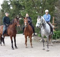 Academy of Dressage - Northern Rivers Accommodation