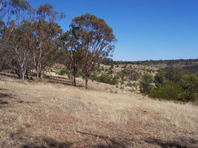 Onkaparinga River National Park - Northern Rivers Accommodation 0