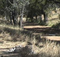 Chudleigh Park Gem Fields - Northern Rivers Accommodation