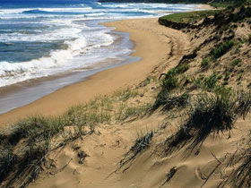 Newland Head Conservation Park - Northern Rivers Accommodation 0