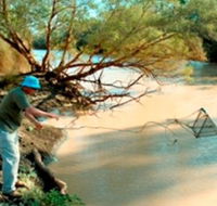 Charleville - Ward River Fishing Spot - Northern Rivers Accommodation