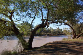 Charleville - Bakers Bend Warrego River Fishing Spot - Northern Rivers Accommodation 1
