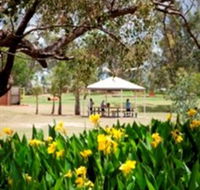 Charleville - Graham Andrews Parklands - Northern Rivers Accommodation