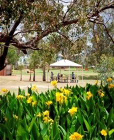 Charleville - Graham Andrews Parklands - Northern Rivers Accommodation 0