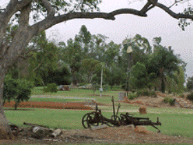 Charleville - Graham Andrews Parklands - Northern Rivers Accommodation 2