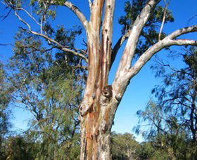 ODonnell Park At Curlwaa - Northern Rivers Accommodation 2