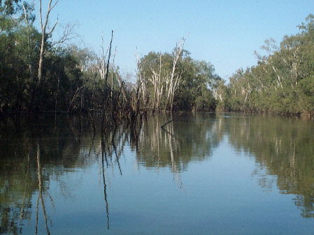 Charleville - 18 Mile Warrego River Fishing - Northern Rivers Accommodation 1