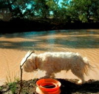 Charleville - 27 Mile Warrego River Fishing Spot - Northern Rivers Accommodation