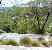 White Mountains National Park - Northern Rivers Accommodation