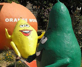 Orange World - Northern Rivers Accommodation 0