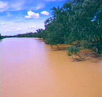 Warrego River - Northern Rivers Accommodation