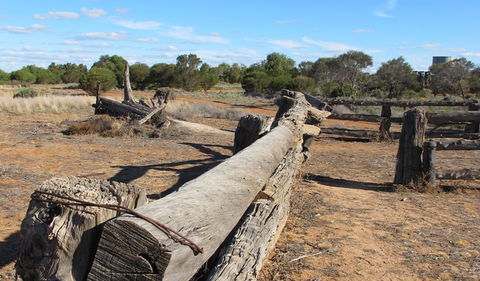 Zanci Pastoral Loop - Northern Rivers Accommodation 0