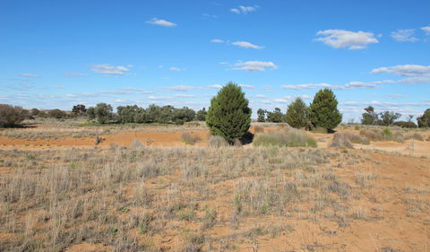 Zanci Pastoral Loop - Northern Rivers Accommodation 3