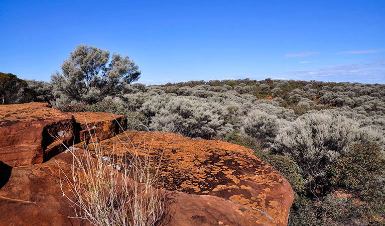 Noona NSW Northern Rivers Accommodation