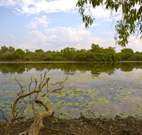 Yurmikmik Walks - Northern Rivers Accommodation