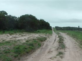 Messent Conservation Park - Northern Rivers Accommodation 1