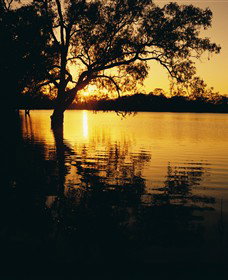 Hattah ACT Northern Rivers Accommodation