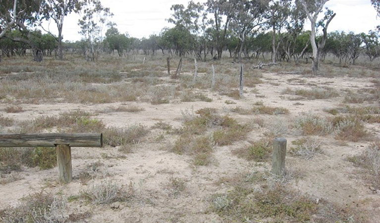 Collerina NSW Northern Rivers Accommodation