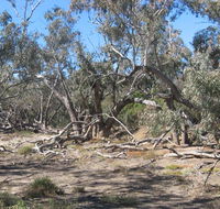 Mirri Mirru Yurun - Northern Rivers Accommodation