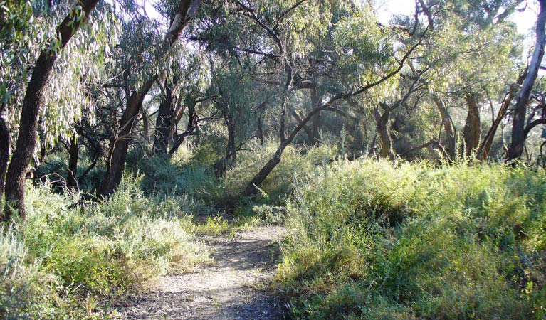 Wallanthery NSW Northern Rivers Accommodation