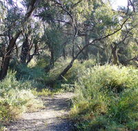 Nilla Yannagalang Billana - Northern Rivers Accommodation