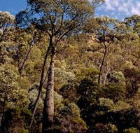 Ka Ka Mundi Carnarvon National Park - Northern Rivers Accommodation