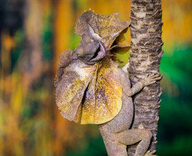 Territory Wildlife Park - Northern Rivers Accommodation 1